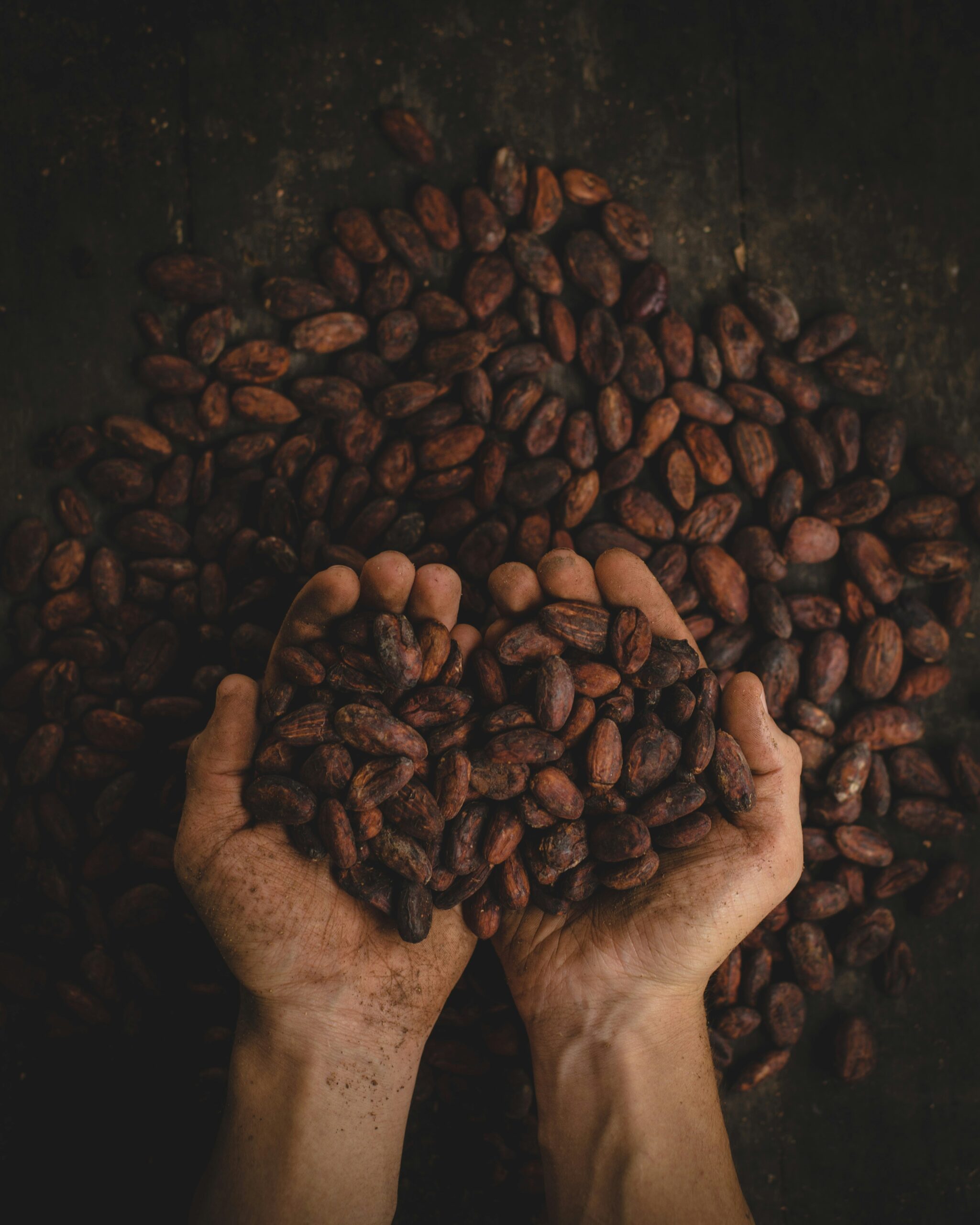 Les Bienfaits du Cacao Alcalinisé pour l’Industrie Alimentaire et Cosmétique